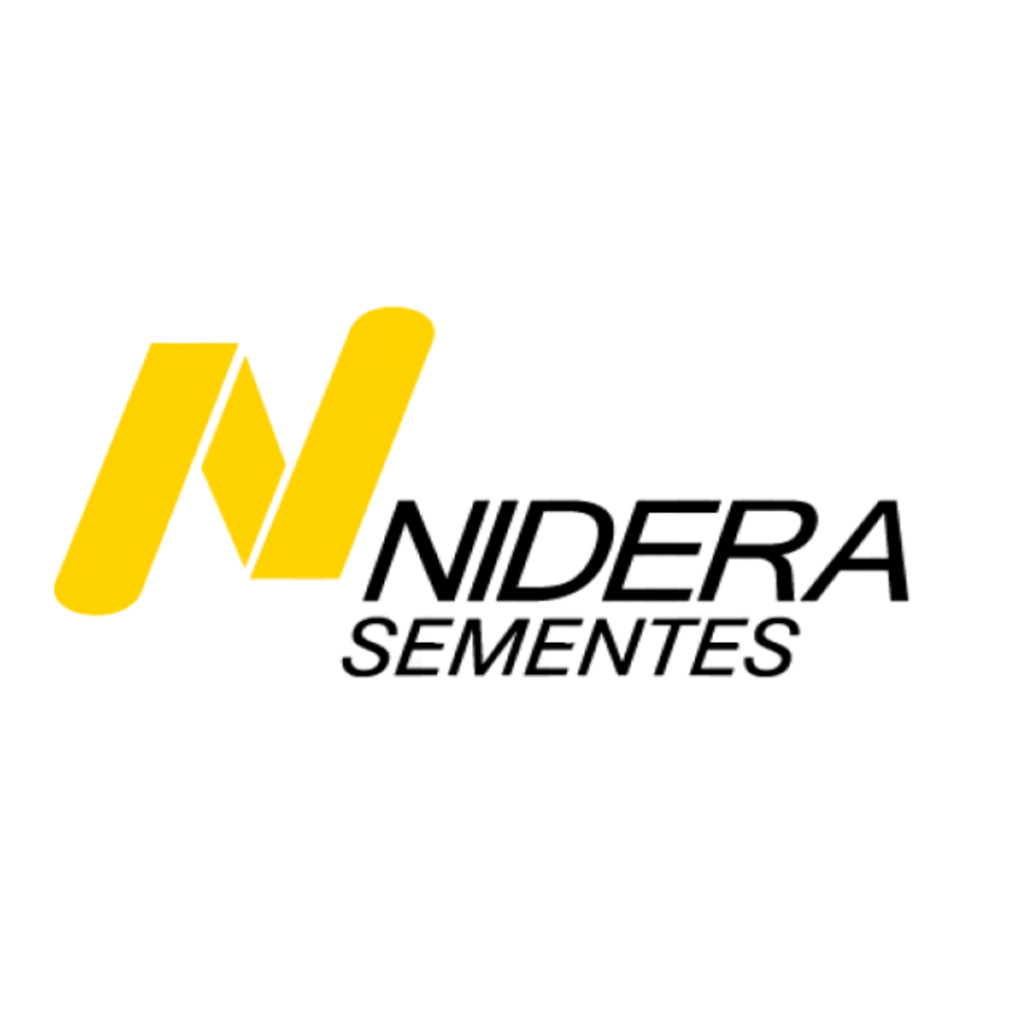 Design sem nome (10)